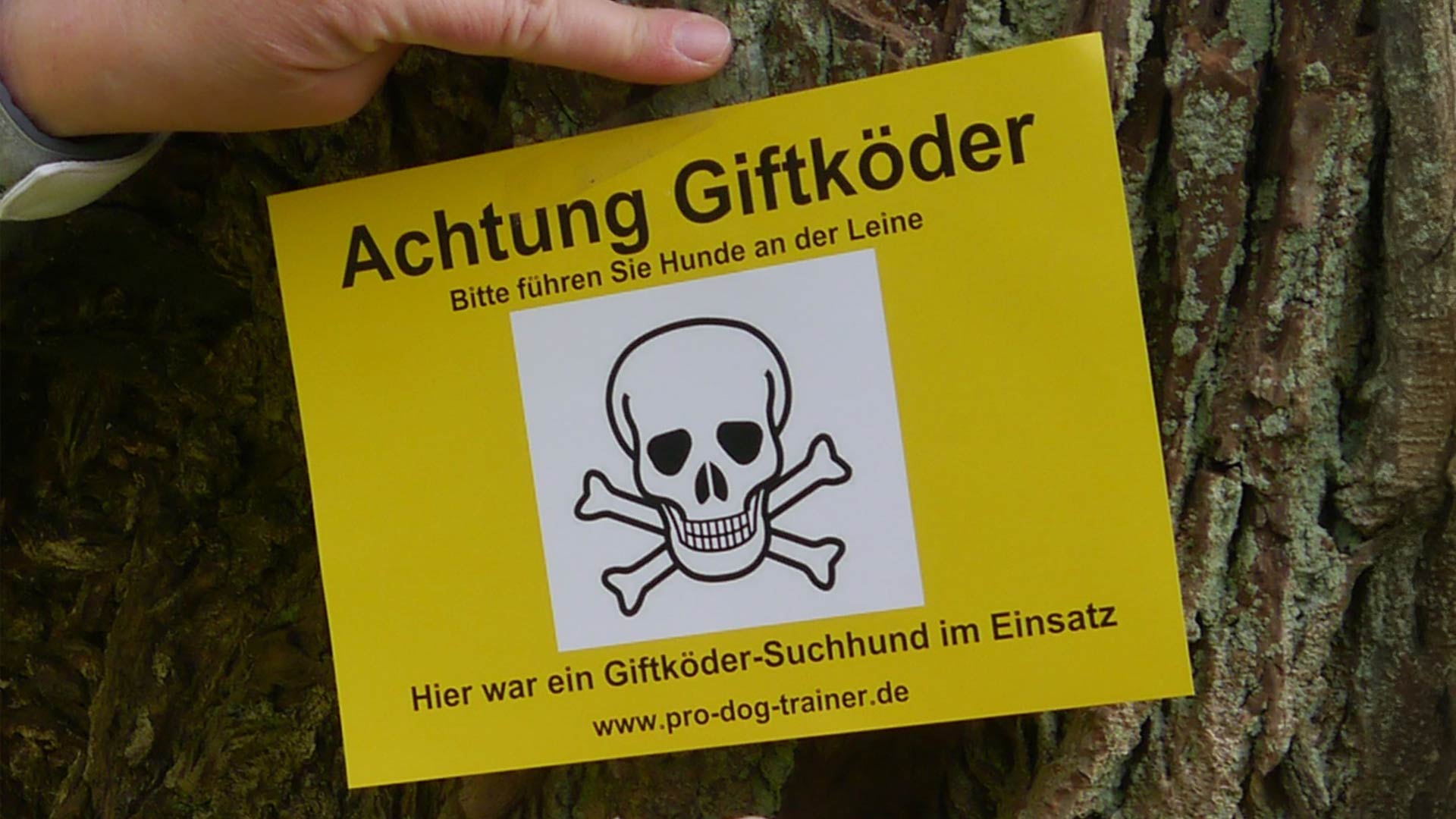 Achtung Giftköder â der Alptraum fĂŒr jeden Hund