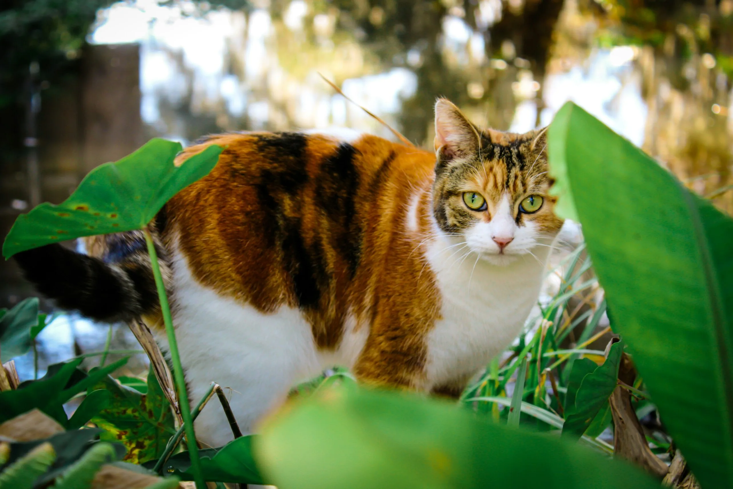 Hadley woodall qjza 89k3je unsplash