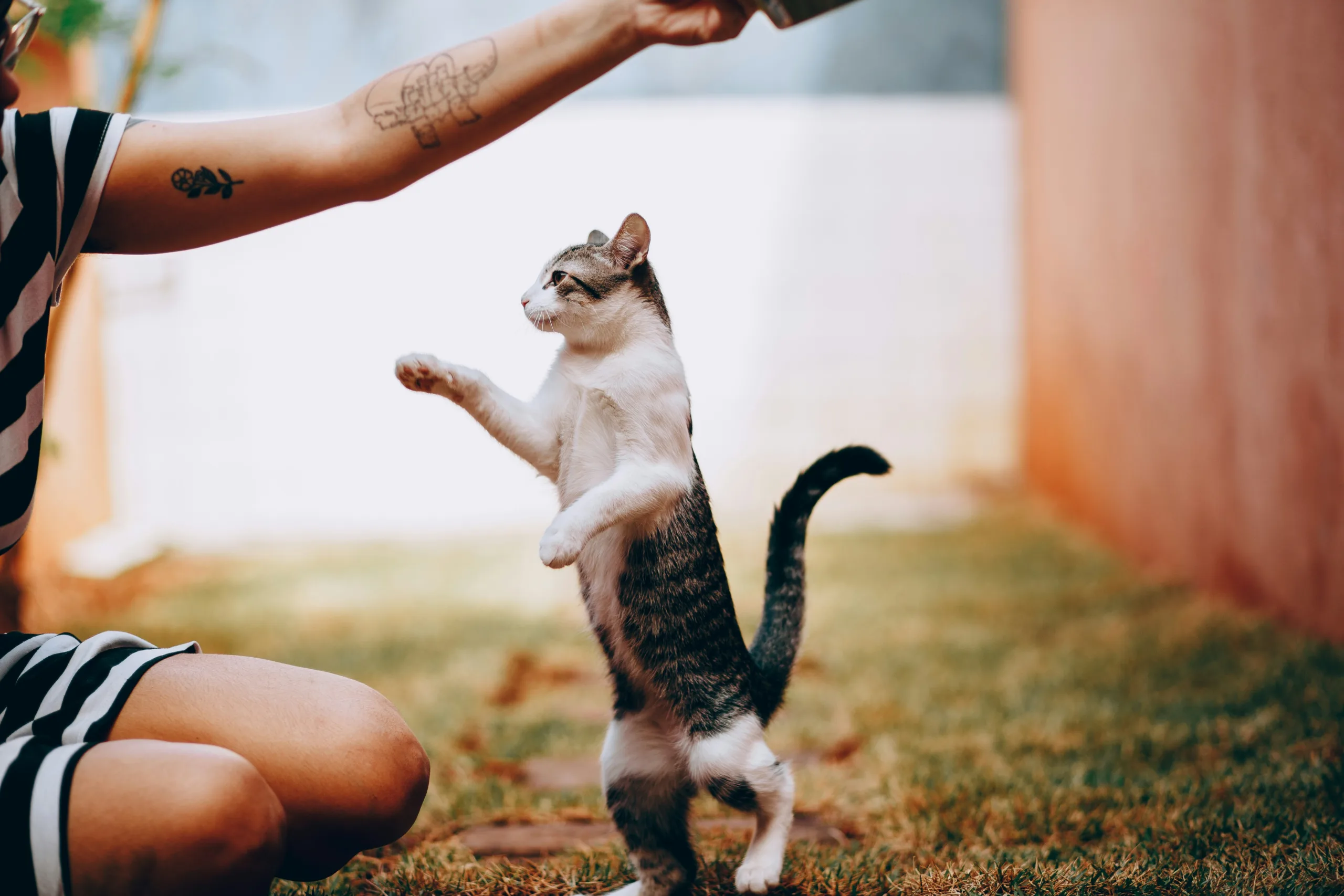 Helena lopes kbrngvcbigi unsplash