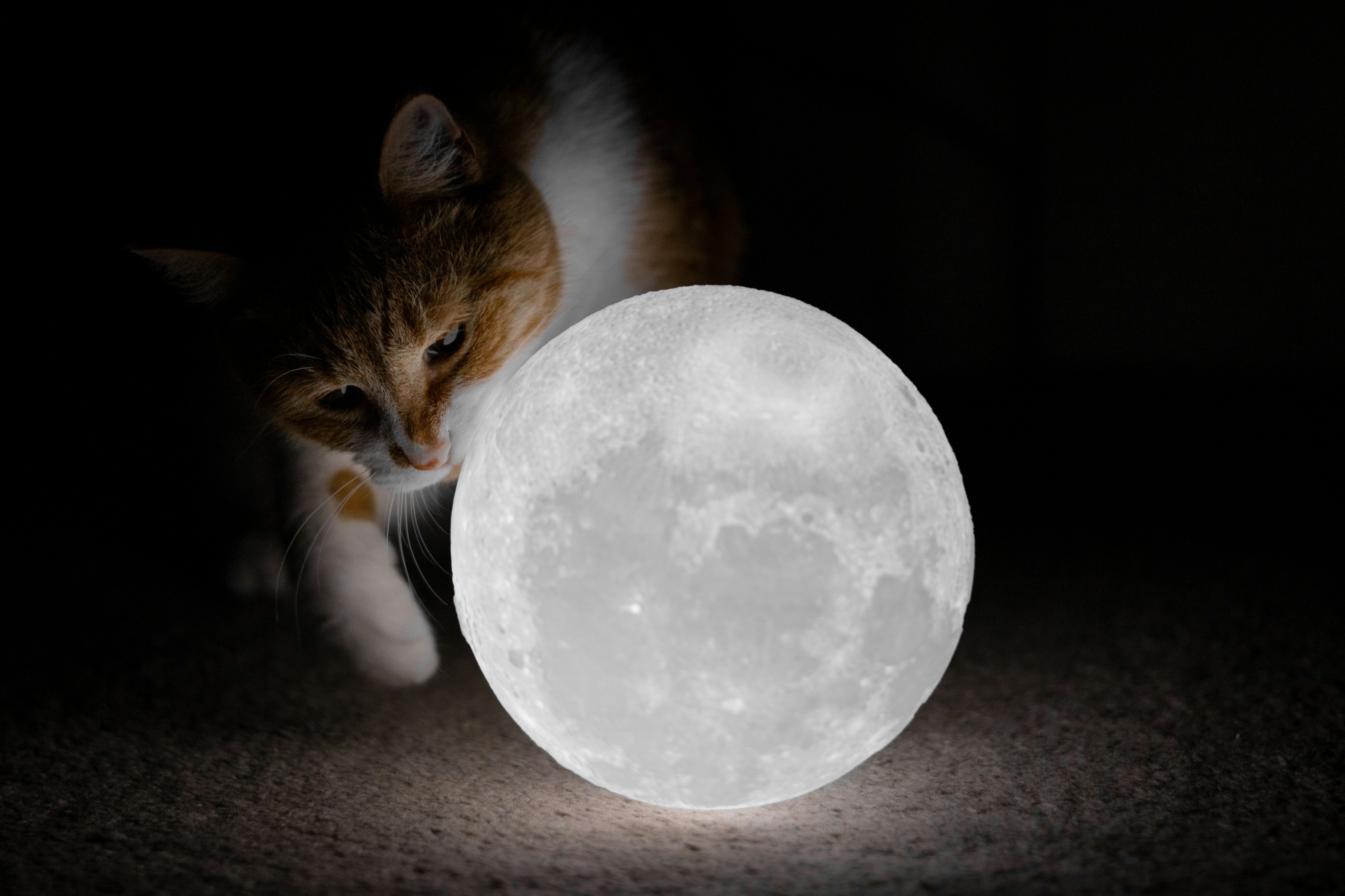Zachary chaz mcmurdie z3eifilxnsg unsplash